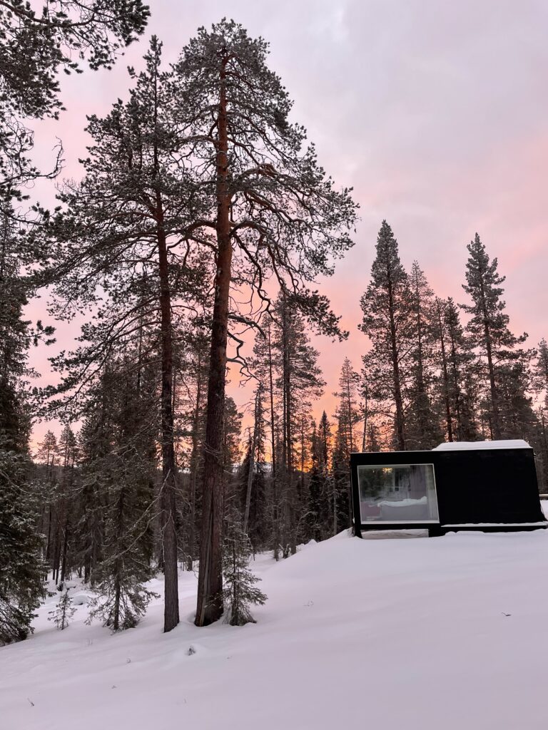 casa nel bosco innevato