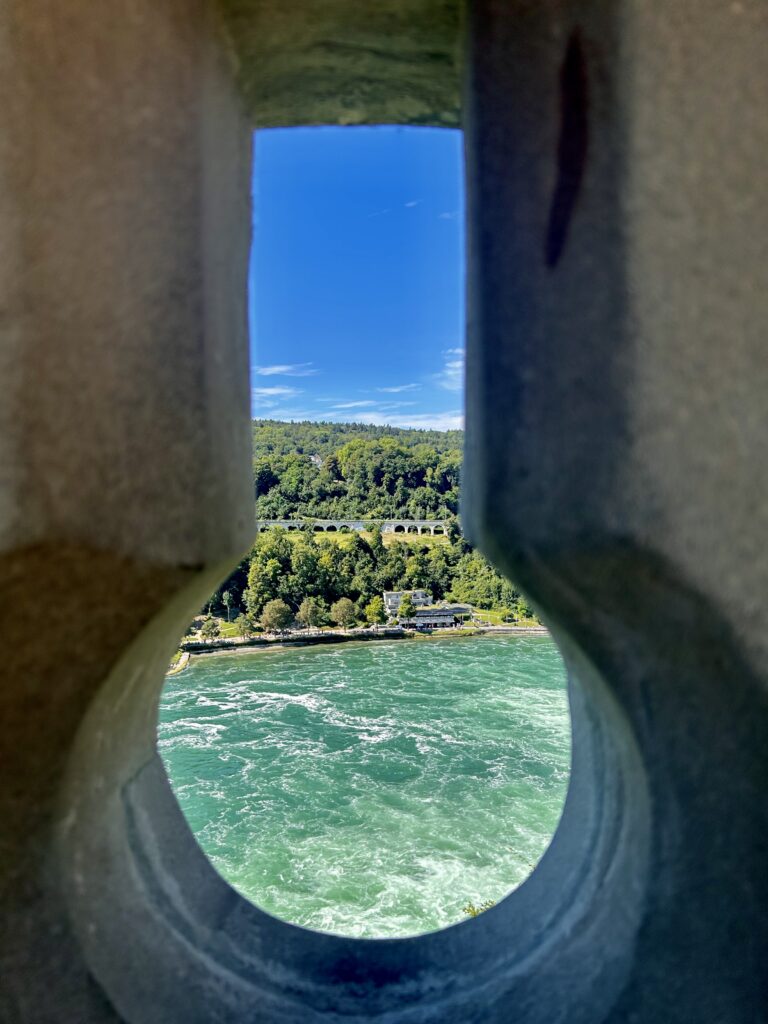 IMG_6109